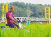 Desa Loh Sumber Bangkitkan Wisata Mapantama, Sinergi Antar OPD Jadi Kunci