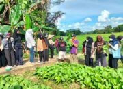 Desa Sumber Sari Kembangkan Empat Jenis Wisata