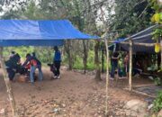 Gencar Berantas Judi Sabung Ayam, Lima Arena Dibongkar