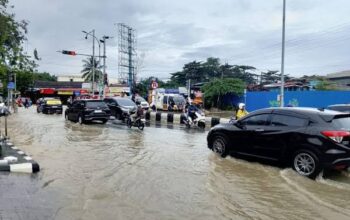 Wawali Benarkan Ada Pembukaan Lahan Ilegal, GMNI Minta Kadis DLH Dicopot