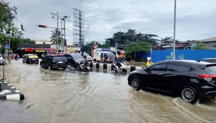 Wawali Benarkan Ada Pembukaan Lahan Ilegal, GMNI Minta Kadis DLH Dicopot
