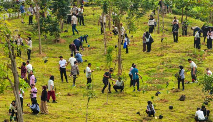 1.153 Pohon Ditanam di IKN, Basuki Sebut Menanam Sudah Jadi Gaya Hidup