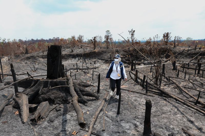 OIKN meninjau bekas tebangan di Bukit Tengkorak saat karhutla