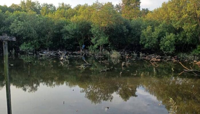 Pemkot Balikpapan Siap Bayar Ganti Rugi Lahan Pandan Sari, Kasasi Masih Terbuka