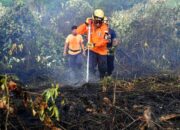Sekolah di Balikpapan PJJ 14–16 Oktober akibat Kabut Asap Karhutla