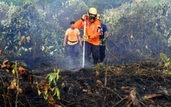 Sekolah di Balikpapan PJJ 14–16 Oktober akibat Kabut Asap Karhutla