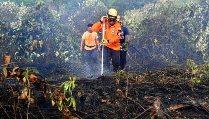 Sekolah di Balikpapan PJJ 14–16 Oktober akibat Kabut Asap Karhutla