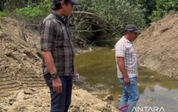 DLH Kaltim Verifikasi Dugaan Pembendungan Sungai oleh PT SAI di Kutai Timur