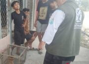 Empat Bocah Samarinda Selamatkan Bekantan yang Nyasar ke Permukiman
