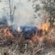 269 Karhutla Bakar 621,25 Hektare Lahan di PPU hingga 17 Oktober 2026